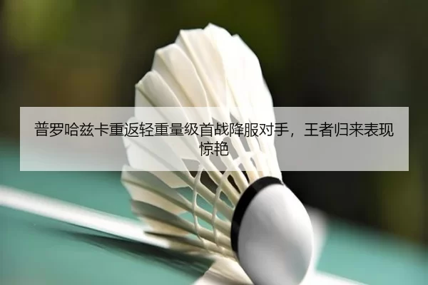 pu-luo-ha-zi-ka-chong-fan-qing-zhong-liang-ji-shou-zhan-xiang-fu-dui-shou-wang-zhe-gui-lai-biao-xian-jing-yan-3-970.jpg