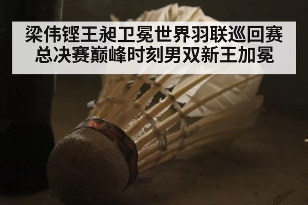 梁伟铿王昶卫冕世界羽联巡回赛总决赛巅峰时刻男双新王加冕
