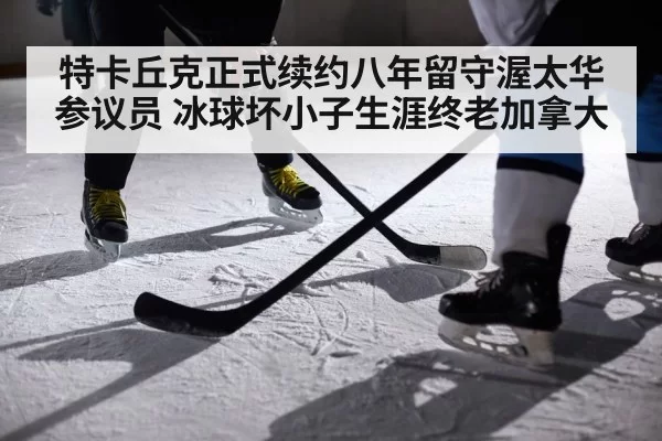 特卡丘克正式续约八年留守渥太华参议员 冰球坏小子生涯终老加拿大