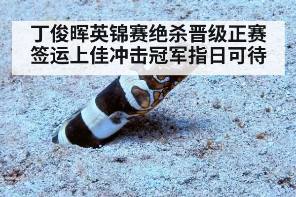 丁俊晖英锦赛绝杀晋级正赛签运上佳冲击冠军指日可待